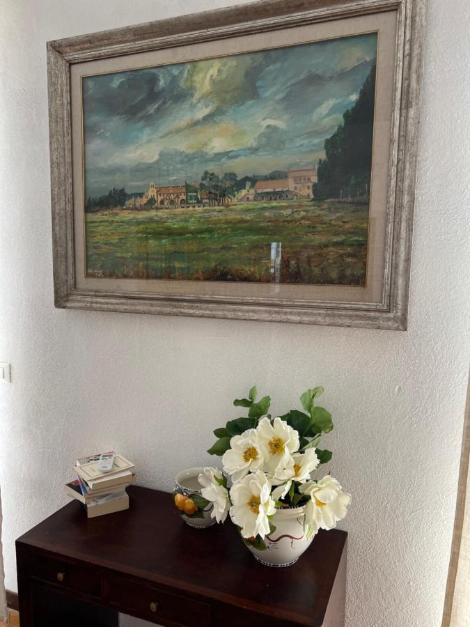 Casa Vanni Vada Exteriér fotografie